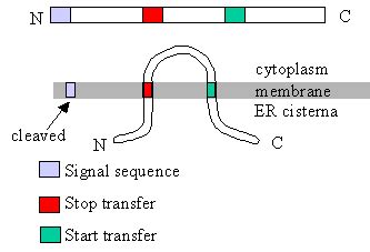 Start, stop or transfer .